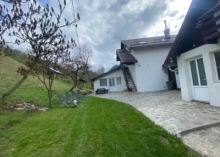 Asy Mountain Maison d'hôtes Braşov