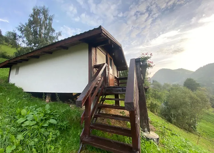 Asy Mountain Maison d'hôtes Braşov